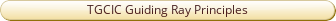 TGCIC Guiding Ray Principles.pdf